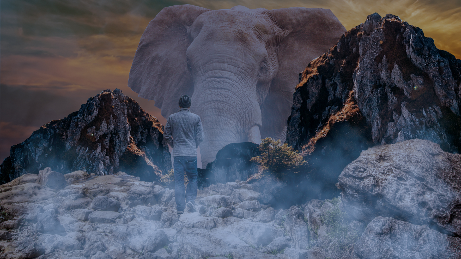 Arena Animation in Motera