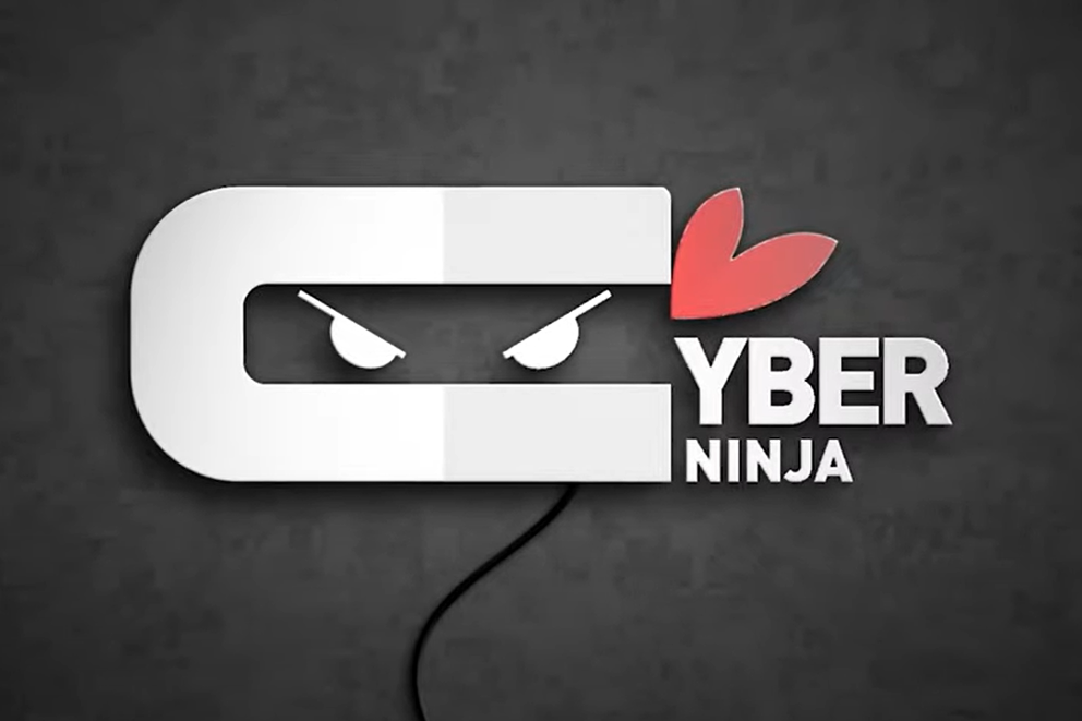 Cyber Ninja